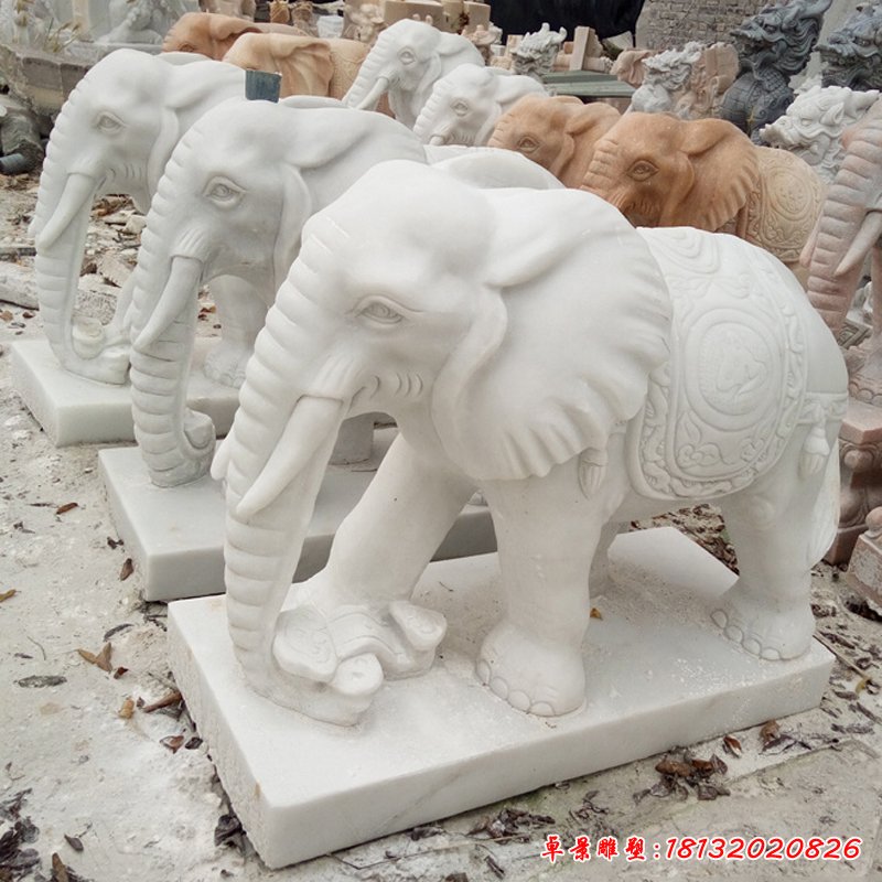 汉白玉小象石雕 (8)