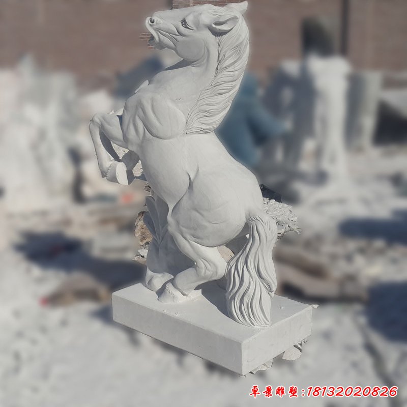 汉白玉马石雕 (43)