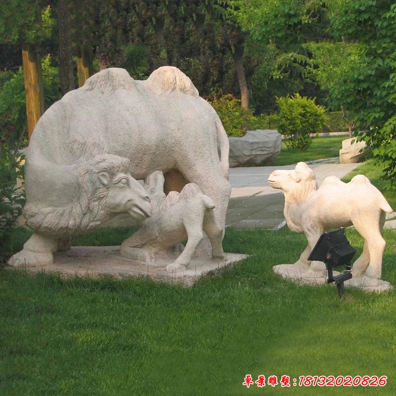 骆驼石雕，公园动物雕塑