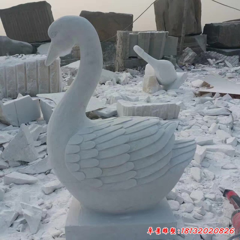 公园动物天鹅石雕 (2)