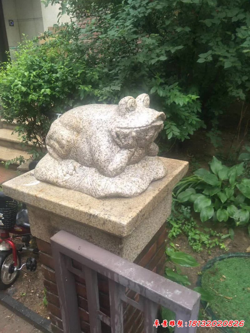 石雕青蛙动物雕塑 (2)