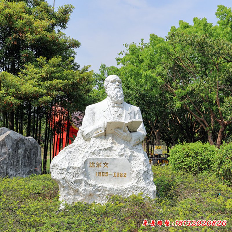 达尔文石雕 (3)