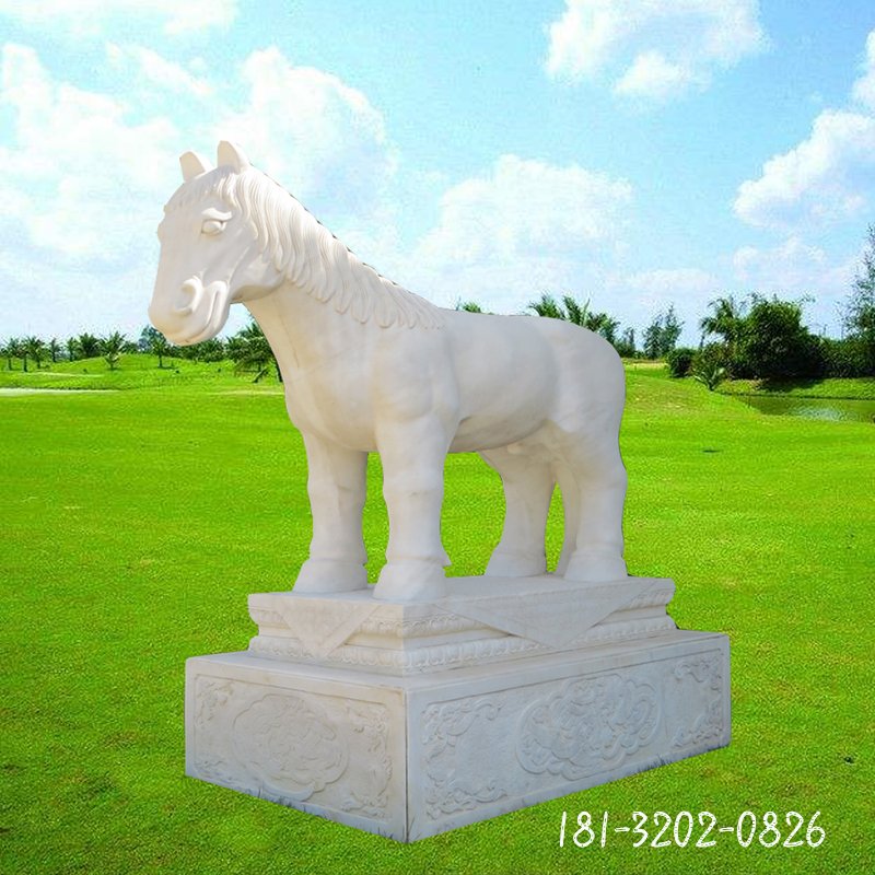 动物石雕塑马汉白玉马石雕 (33)