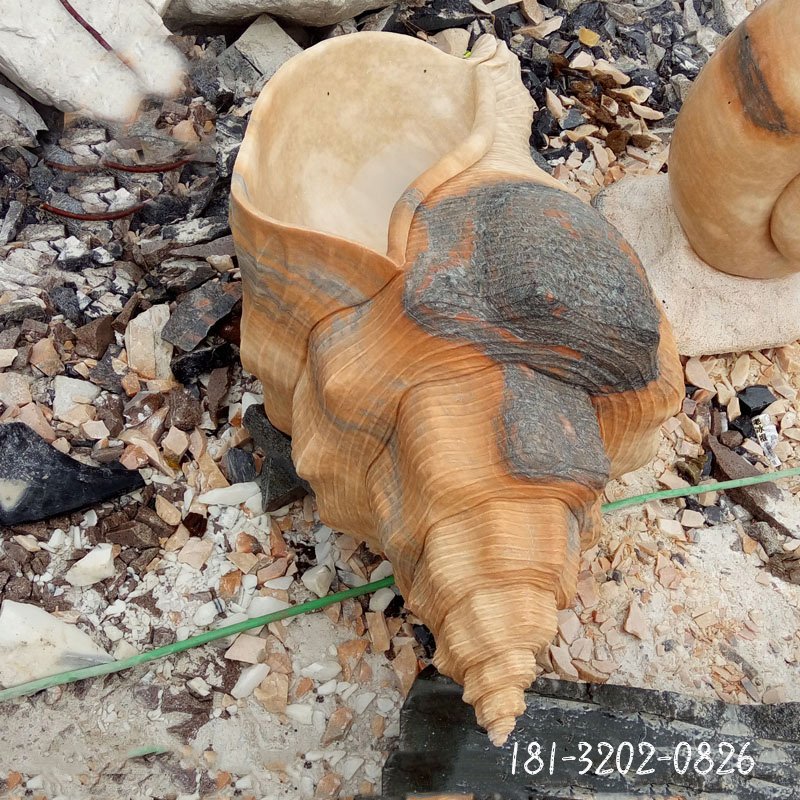 公园海螺石雕，大理石景观是 (2)