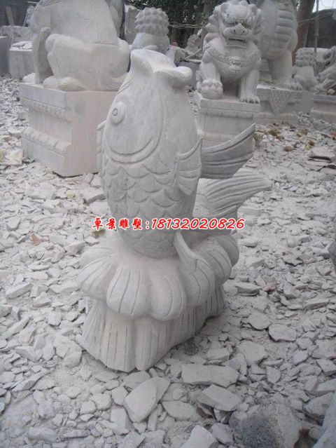 公园景观喷泉鱼