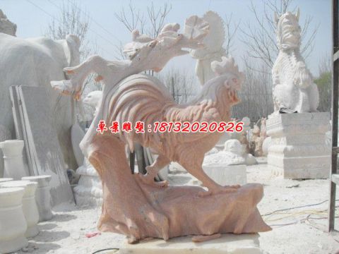 晚霞红动物公鸡