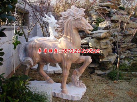公园石雕动物马