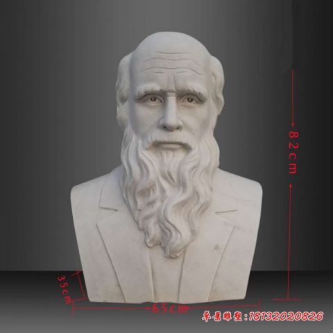 校园大理石西方名人达尔文头像石雕