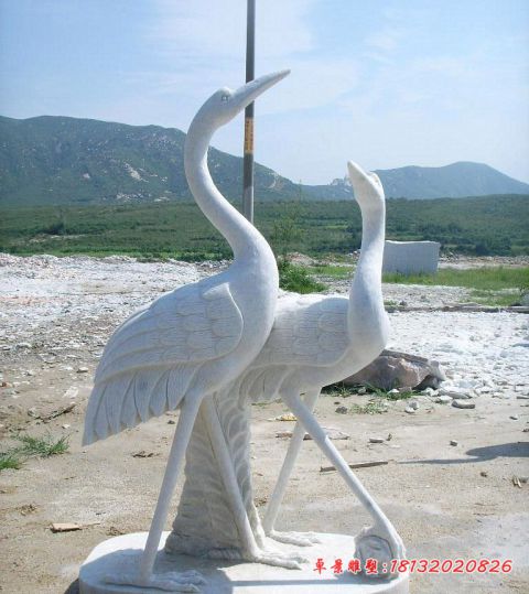 公园动物大理石仙鹤