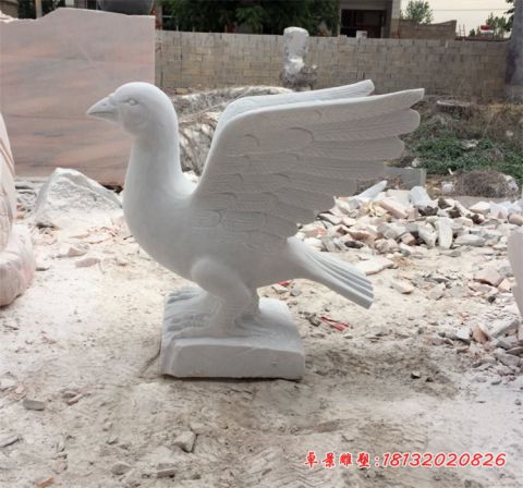 广场动物汉白玉和平鸽石雕