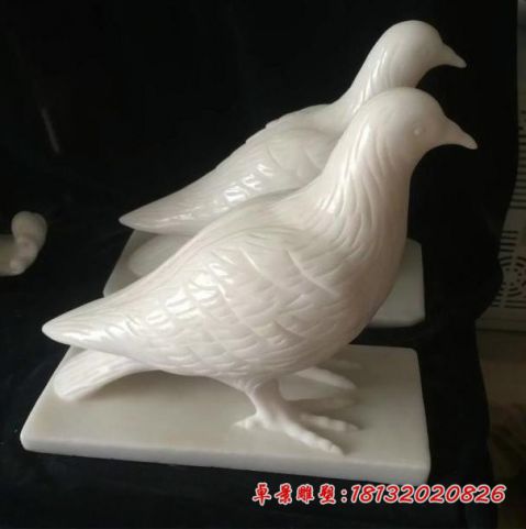 公园动物汉白玉鸽子石雕