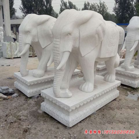 门前汉白玉如意石雕大象