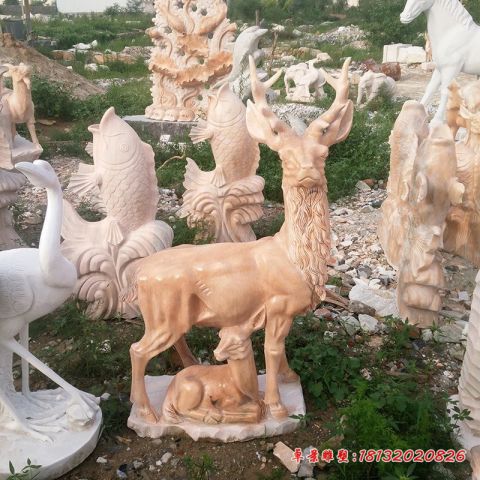 公园动物晚霞红梅花鹿