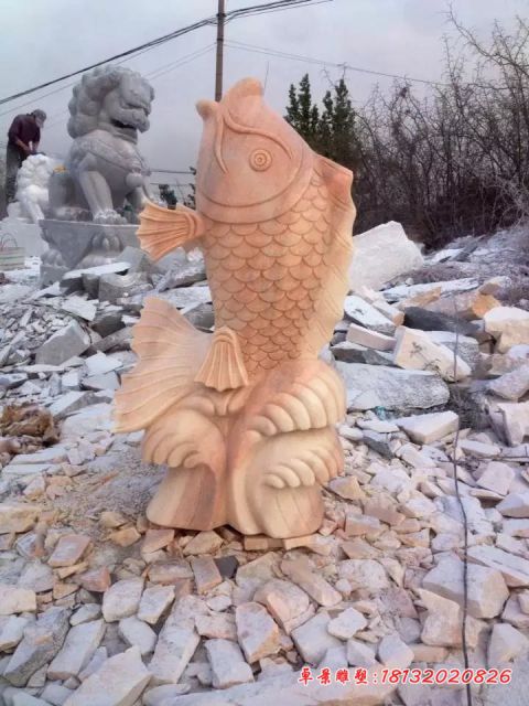 小区晚霞红喷水鲤鱼