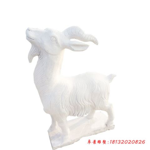 公园汉白玉山羊石雕