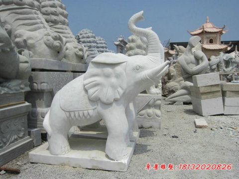 门前汉白玉石雕大象