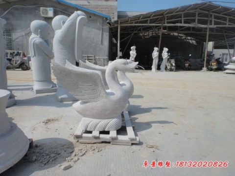 公园动物大理石天鹅