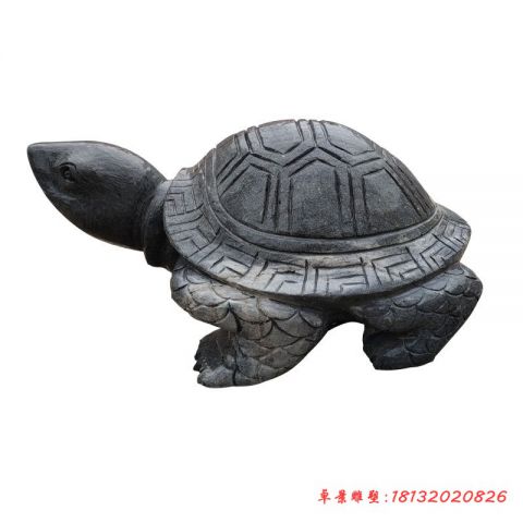 公园动物大理石乌龟