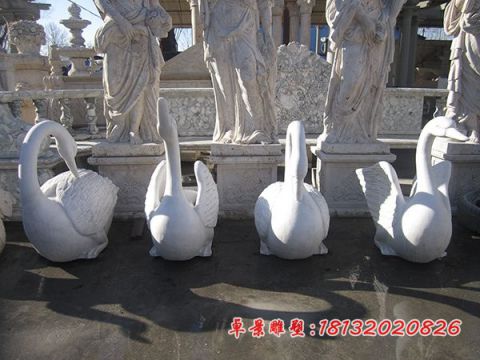 公园动物汉白玉天鹅