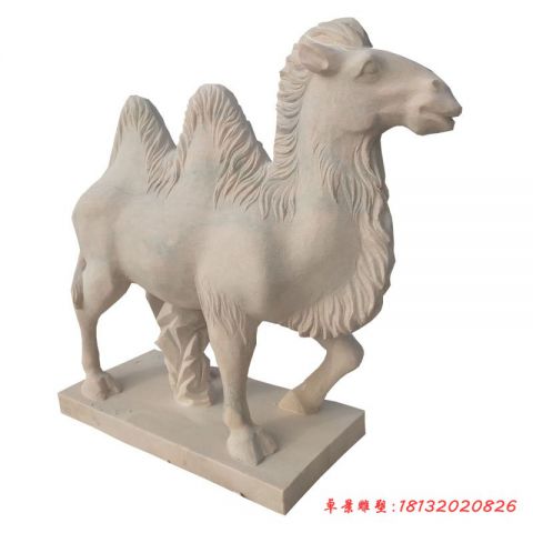 晚霞红公园动物骆驼雕塑