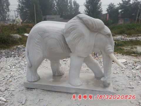 门前大理石石雕大象