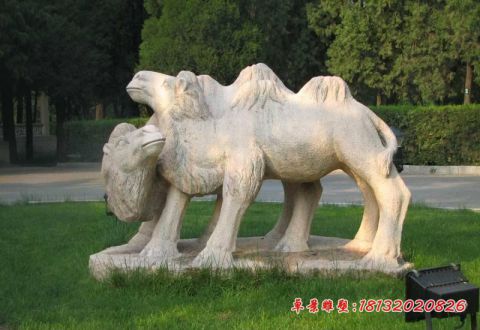 公园石雕动物骆驼