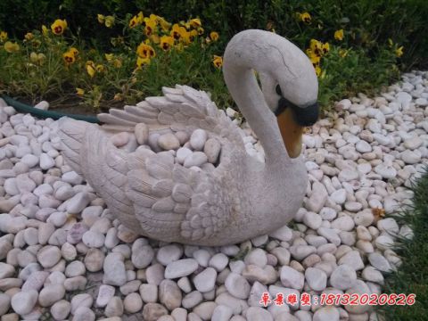 公园动物抽象天鹅石雕
