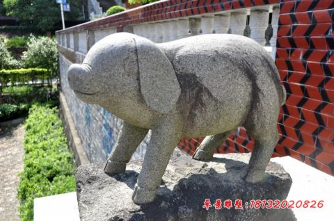 公园动物抽象石雕猪