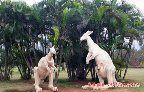 公园动物大理石袋鼠