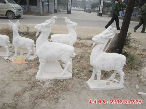 汉白玉公园动物石雕山羊