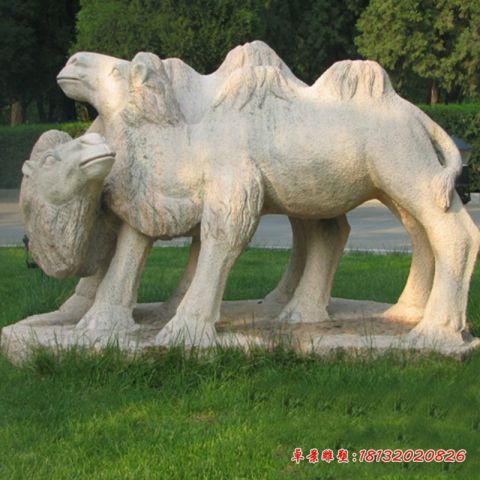 大理石骆驼公园石雕