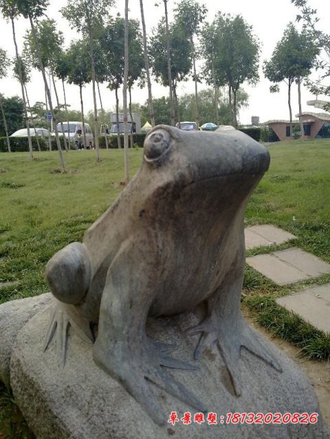 公园动物大理石青蛙