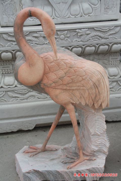 公园动物晚霞红仙鹤