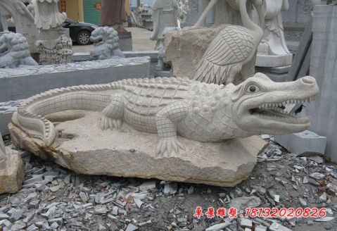 公园动物大理石鳄鱼