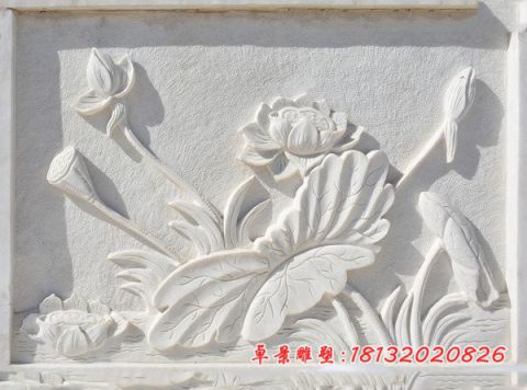 公园荷花石浮雕