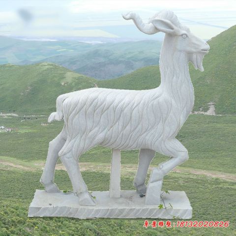 公园动物大理石羊
