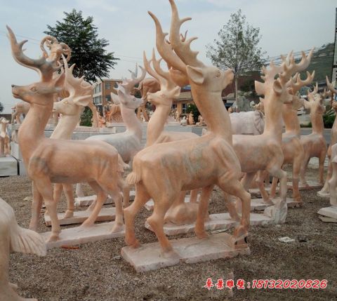 公园晚霞红梅花鹿石雕动物