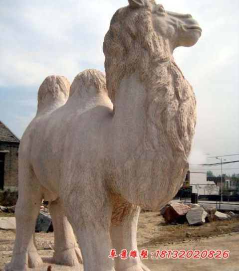 大理石动物公园石雕骆驼