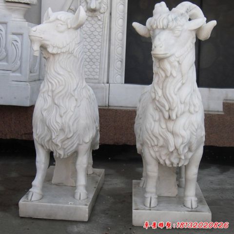 动物羊石雕