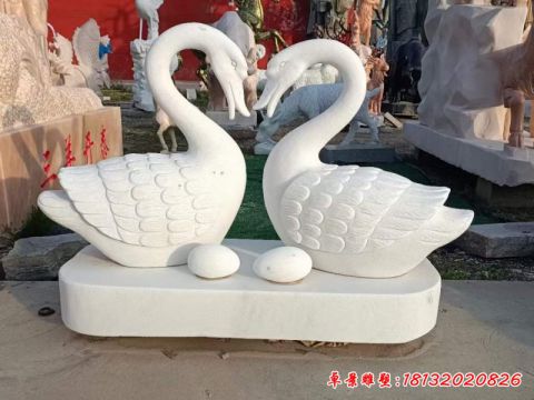 公园爱心天鹅
