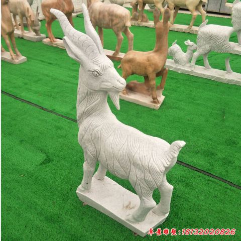 园林动物石雕羊