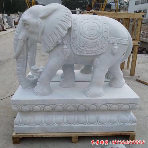 公园动物如意大象