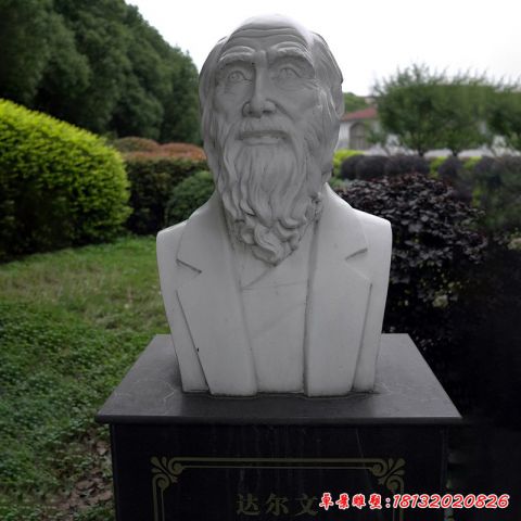 达尔文石雕