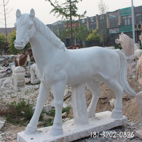 动物汉白玉马