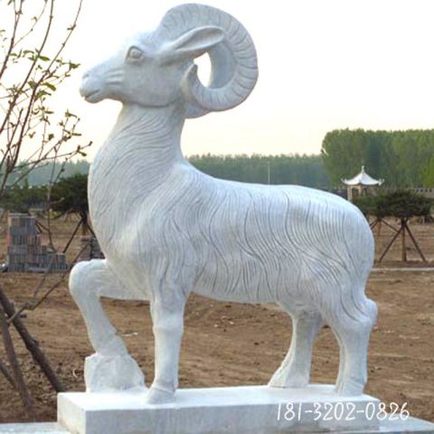 大理石庭院动物羊