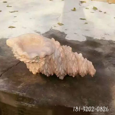 动物海螺石雕