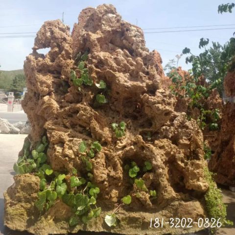 园林创意假山石雕