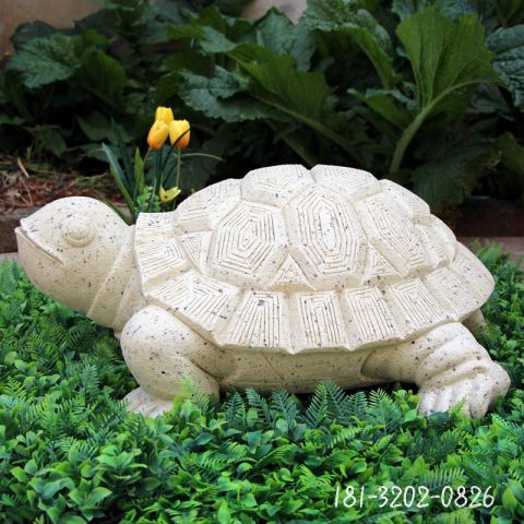 公园乌龟动物石雕雕塑