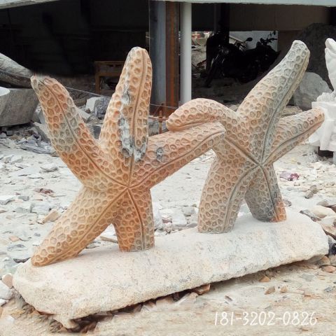 广场海星动物石雕